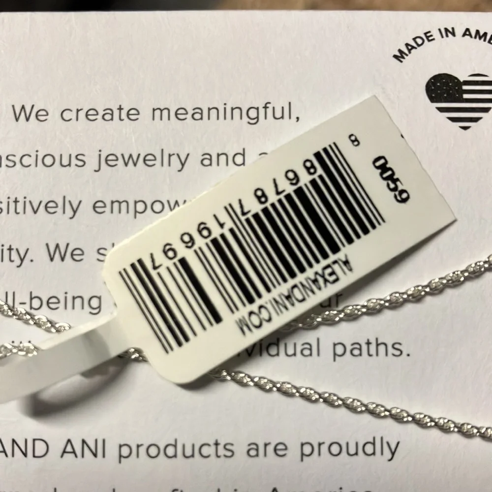 Alex and Ani Necklace